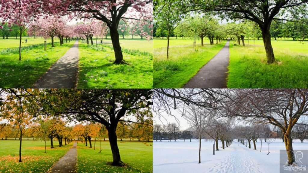 How Do Changing Seasons Affect Our Lifestyle